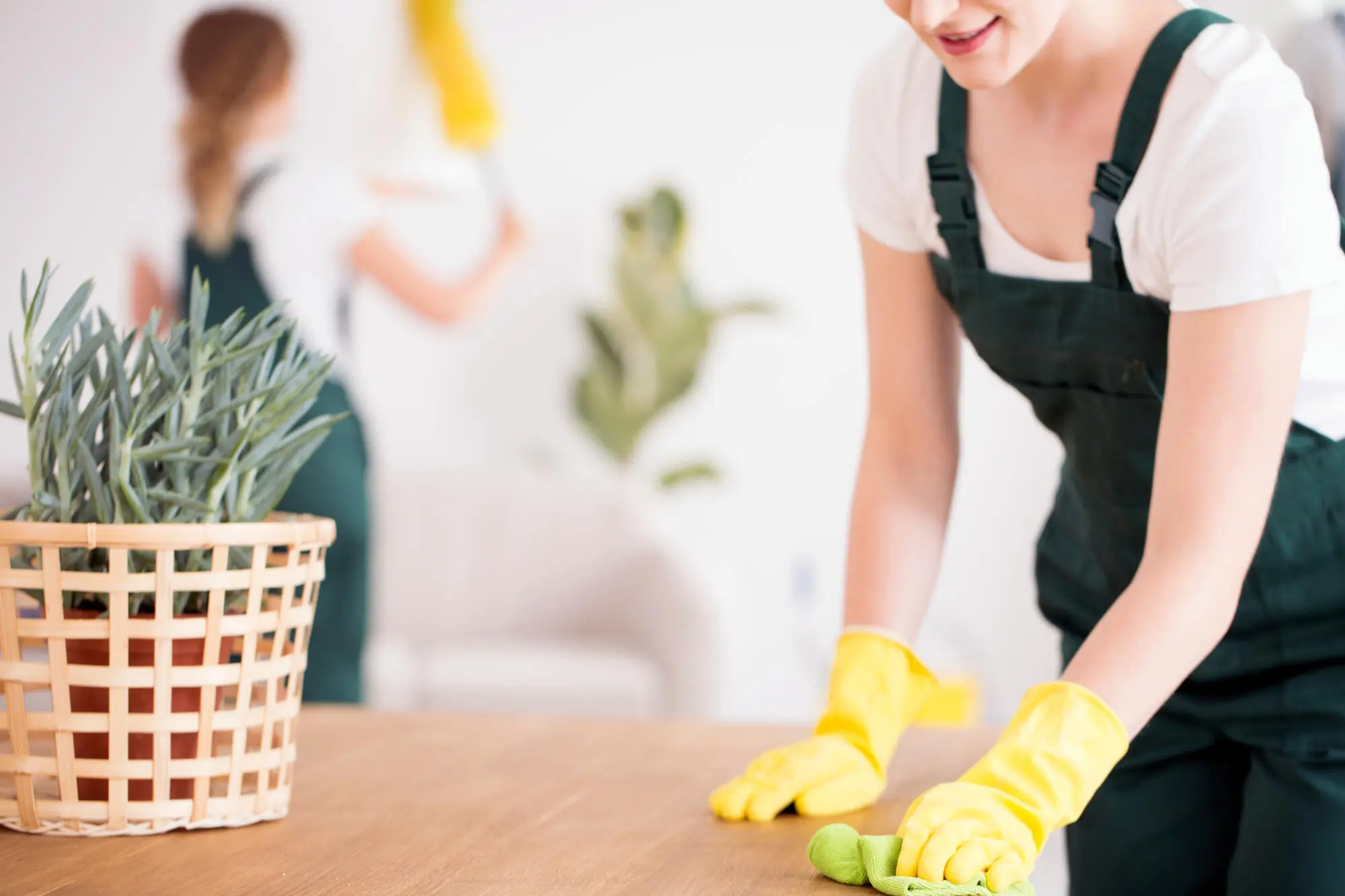Vacation Rental Cleaning Checklist: A Step-by-Step Guide in Boise, ID